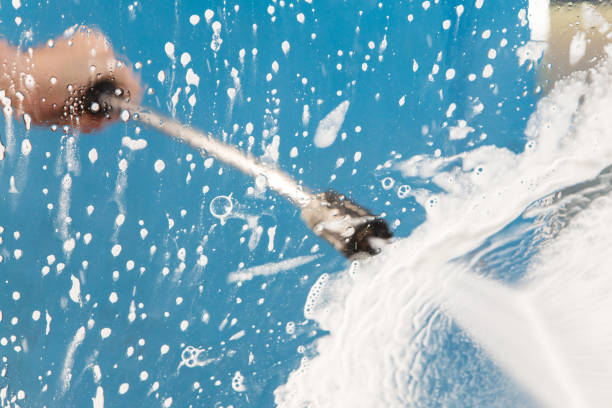Animal Enclosure Cleaning in Bal Harbour, FL